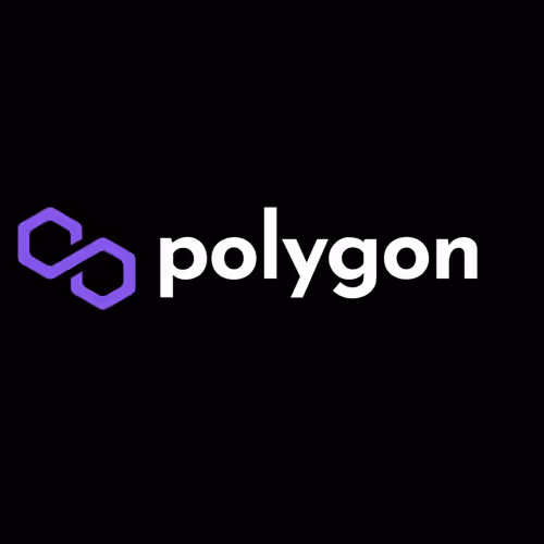 the polygon wallet
