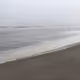 Seattle_2021