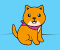 Wonder Shibas