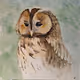 Collection of birds and animals