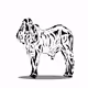 Little Cow Co Cool
