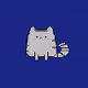 Kittens Crypto