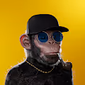 monkeyape2022