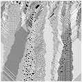 cellular automata 80