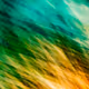 Natural Swirls 2022