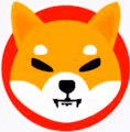 new comer of shiba family