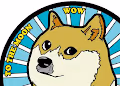 real doge nft