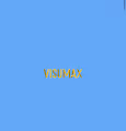 visumax
