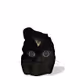 BlackCatRock Polygon