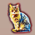 colorful-cat