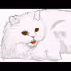Persian_cat000