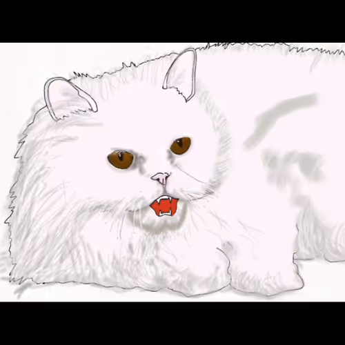 Persian_cat000