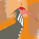 bald ibis