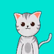 kittysan_nft