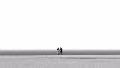 collection of B/W