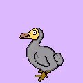DODO is not Dead