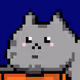 TEST-123555