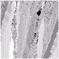 cellular automata 87