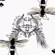 Diagonal Insects