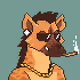 HYENA PUNKS