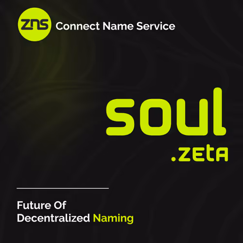 ZNS Connect - SOUL.zeta