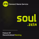 ZNS Connect - SOUL.zeta