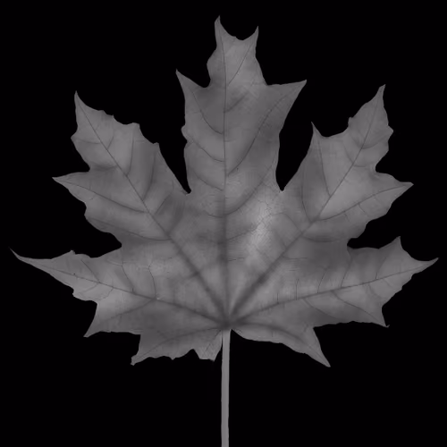 Leaf_Metavers