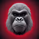 Gorilla portraits official