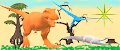 Animal.kingdom