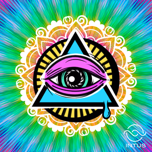 The Lighters / IntusApp