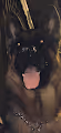 the king of province