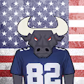 American FootBull Fans