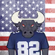 American FootBull Fans