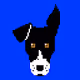 DogBytes