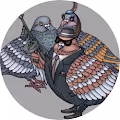 Killer Pigeons