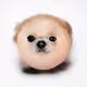 Doge Blobs