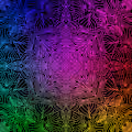 Rainbow Collection - BubzNFT