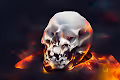 Special Skulls