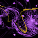Miscellany Experimental