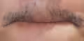 Mouthbrother #254784845