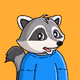 RACCOONX