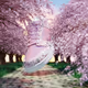 Sakura Season Sneaker