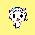 shark_cat