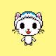 shark_cat