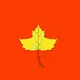 Crypto Leaf