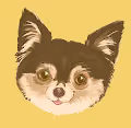 Aristocrat animals