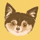 Aristocrat animals
