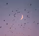 Shooting Moon Landscape