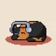 Catnappers' Litter Box