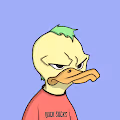Duck Sucks Collections